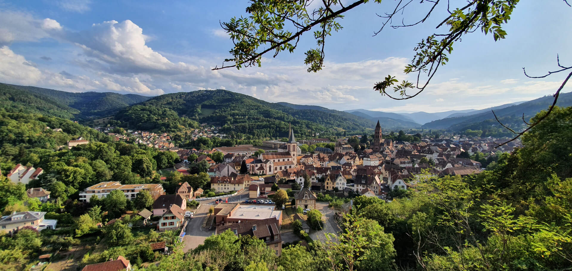 Vue sur la vallée de Munster en Alsace
